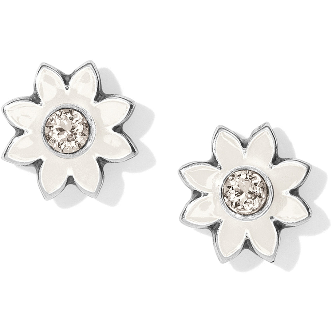Jasmine Mini Post Earring