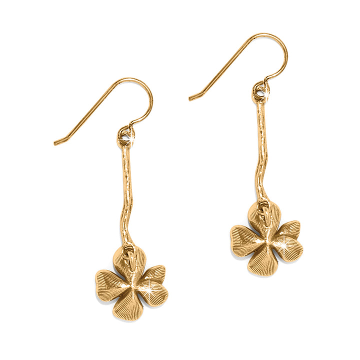 Everbloom Windflower Gold French Wire Earrings